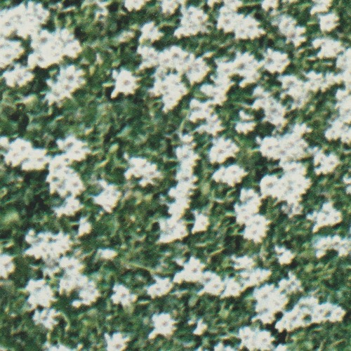 #2096: Van Houten – Coming Of&nbsp;Age