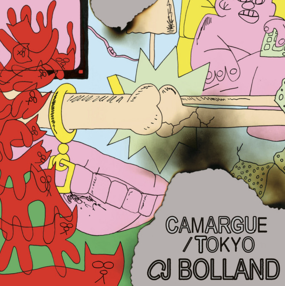 #2546: CJ Bolland – Camargue