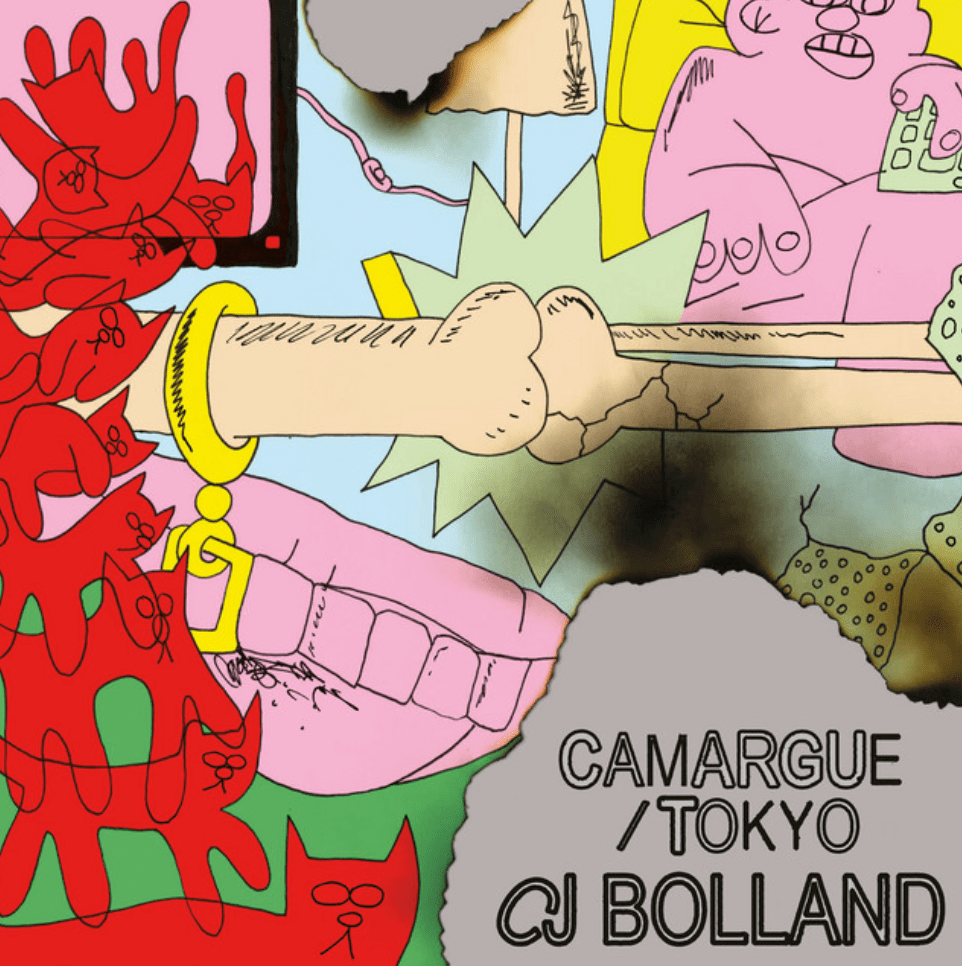 #2546: CJ Bolland –&nbsp;Camargue