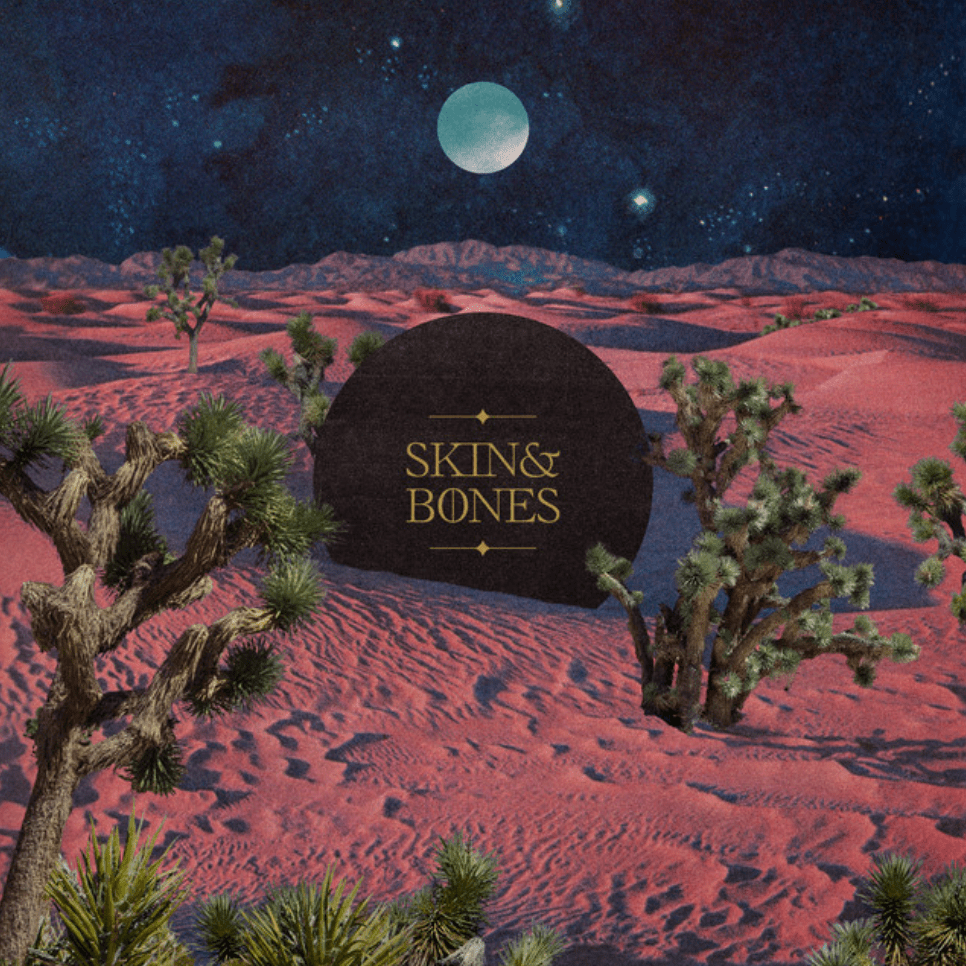 #2341: Silverstein – Skin &&nbsp;Bones