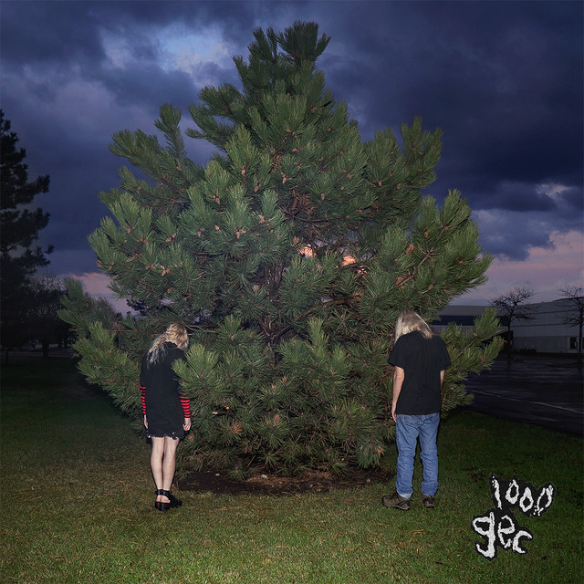 #1620: 100 gecs – stupid&nbsp;horse