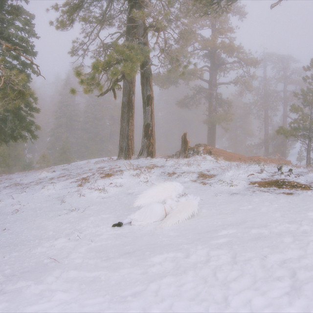 #2416: Wisp – See you&nbsp;soon