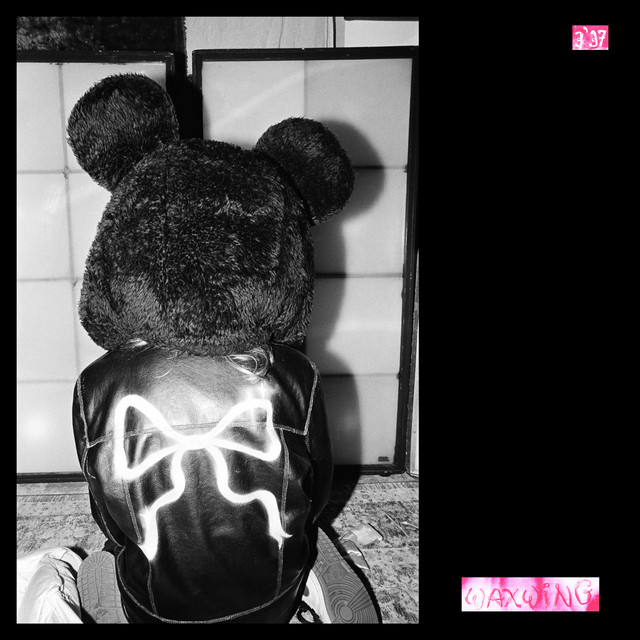 #2598: Sorry –&nbsp;Waxwing