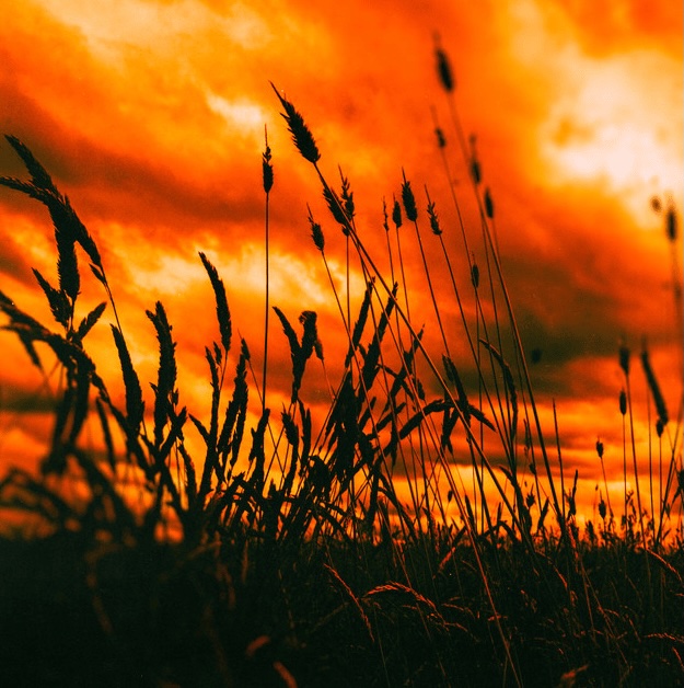 #2765: Black Coast –&nbsp;HOPELESS