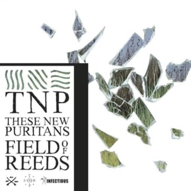 #2786: These New Puritans – Fragment Two