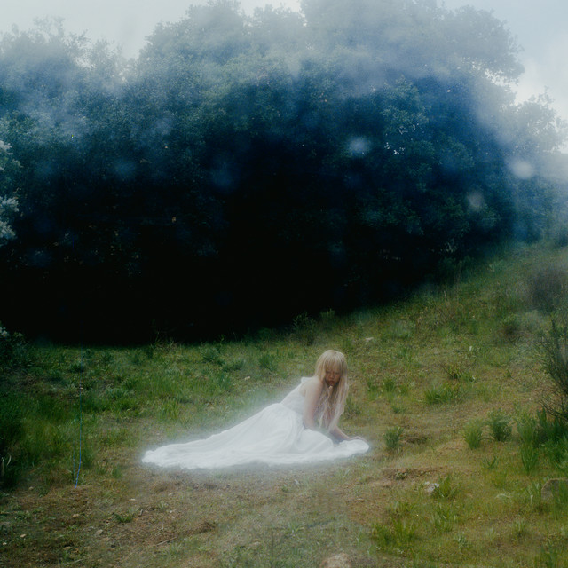 #2816: Wisp – Black&nbsp;swan