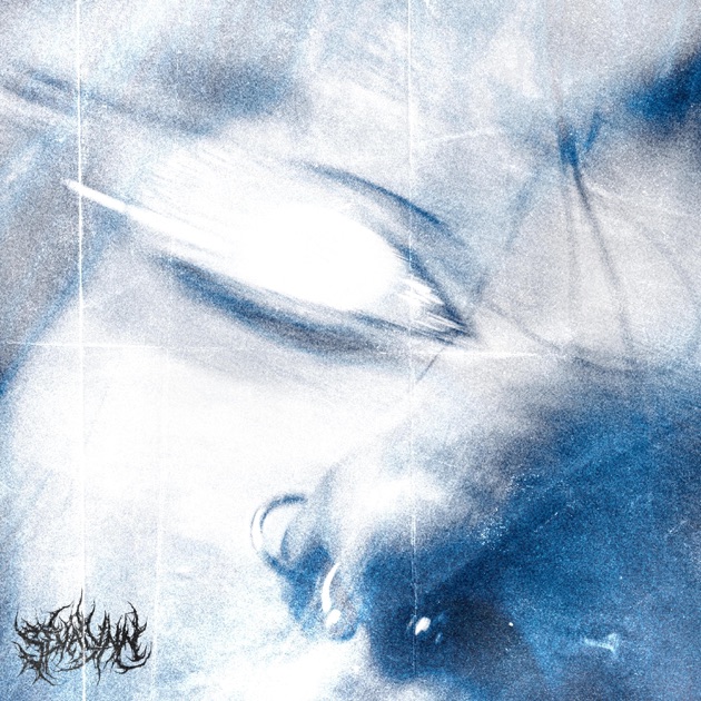 #2886: Sevalynn –&nbsp;BLINDSPOT