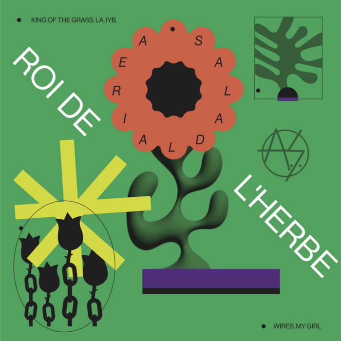 #2870: Aerial Salad – King of the&nbsp;Grass